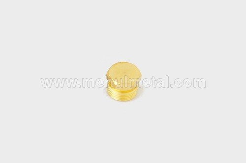 LPG Stop End Nut