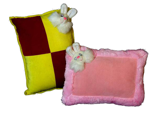 Recti & Combi Pillow