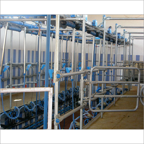 Herringbone Parlour Milking Systems