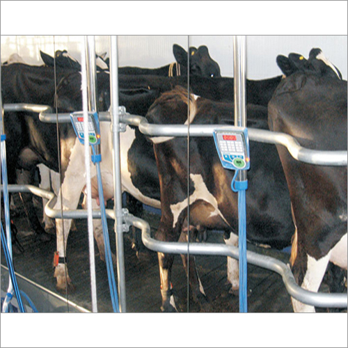 Herringbone Milking Systems