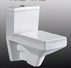 Extended wall mount toilet