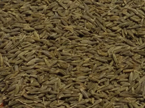 Cumin Seeds - Purity 98-99.5%, Volatile Oil 2.5%-4.5%, Admixture 0.5%-2% | Moisture 2%-7%, Bulk Packing, Consistent Flavor