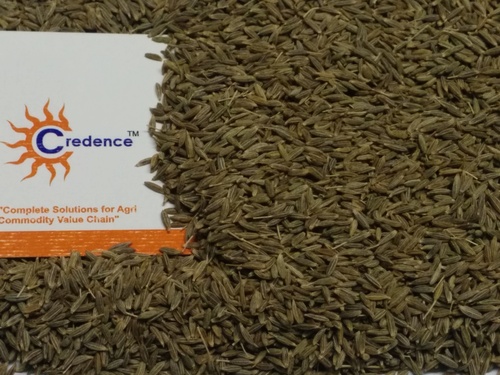 99% Singapore Quality Cumin Seeds