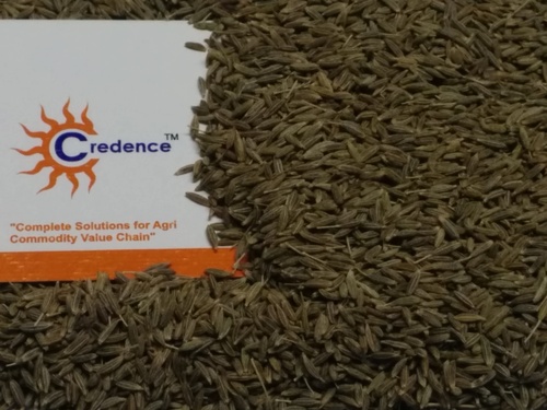 99% Singapore Quality Cumin