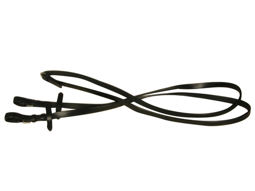 Reins