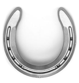 Animal Steel Shoes