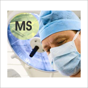 MS Education Consultant