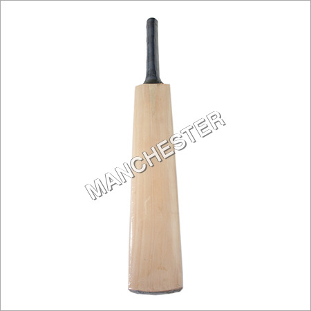 Plain Bat