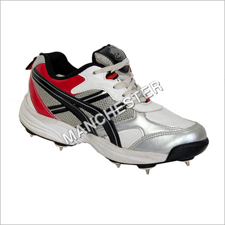 Cricket Spike
