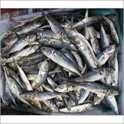Bangdi