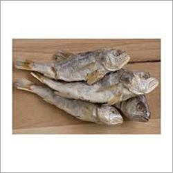 Small Croaker - Sun-Dried Fish, Variable Size | High Protein, Delicious Taste, Easy to Cook, Convenient Snack