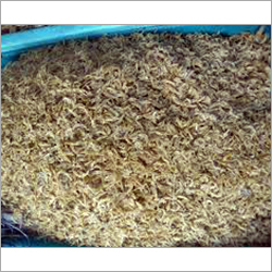 Javla Fish