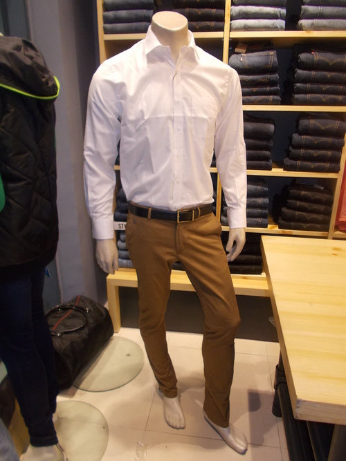 Formal Shirts Paints