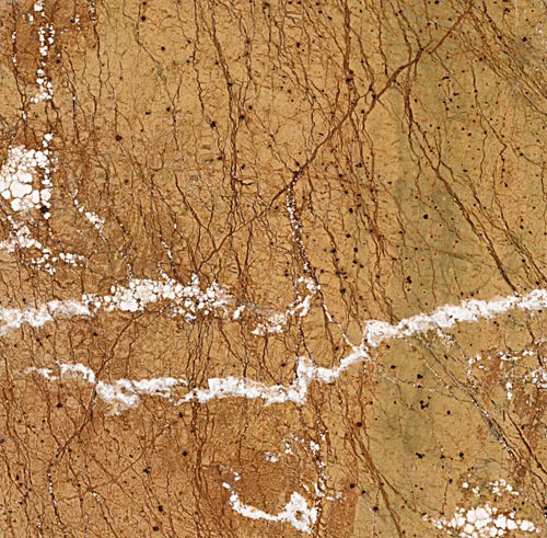 Rainforest Gold Marbles