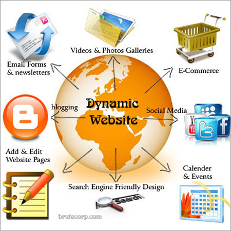 Dynamic Websites Designing