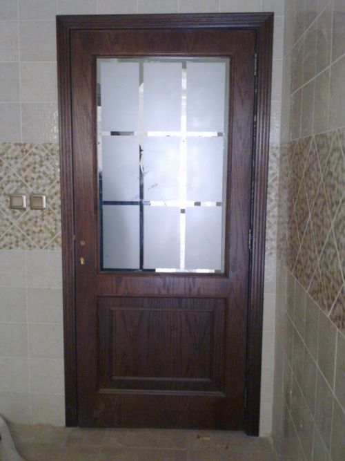 Stylish Fixed Glass Door