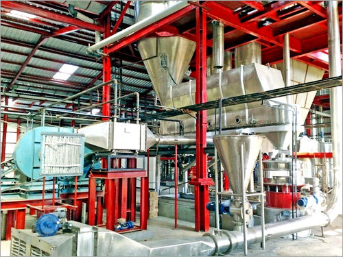 Instant Coffee Plant