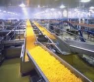 Food Processing Plant Consultants