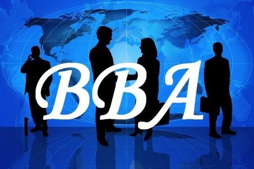 BBA Education Consultant