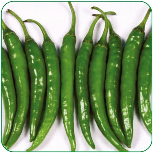Green Chillies