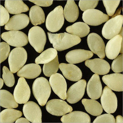 Sesame Seeds