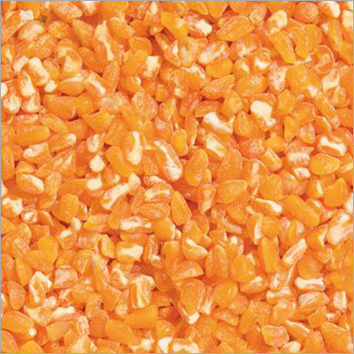 Maize