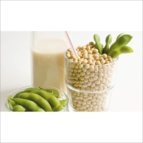 Soya Bean Milk