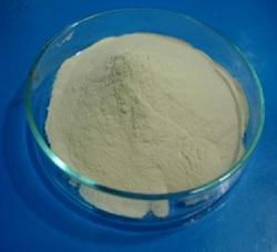 Soyabean Protein Hydrolysate 55 - 60% Powder