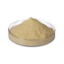 Casein Protein Hydrolysate 75 - 80% Powder