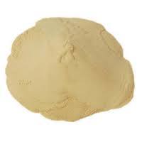 Casein Protein Hydrolysate 55 - 60% Powder