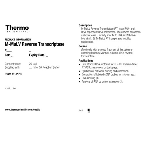M-MulV Reverse Transcriptase
