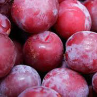 Fresh Plums