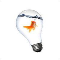 Energy Saving LED Bulbs