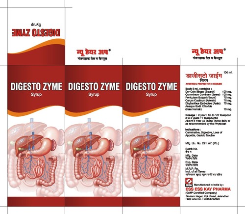 DIGESTO ZYME SYRUP