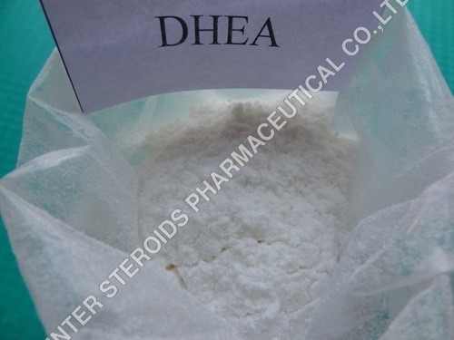 DHEA