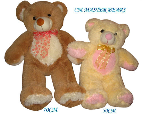 CM Master Teddy