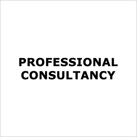 Professional Consultancy Service