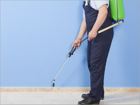 Pest Control Services
