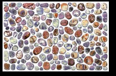 Digital Colour Wall Tiles