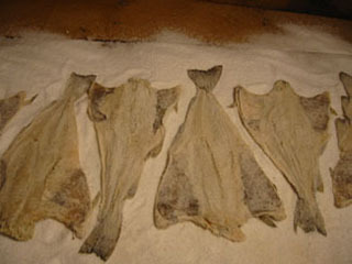Dried anchovy fish