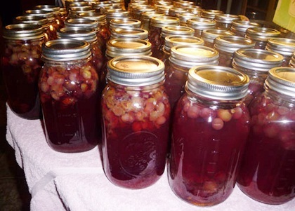 Honey Grapes
