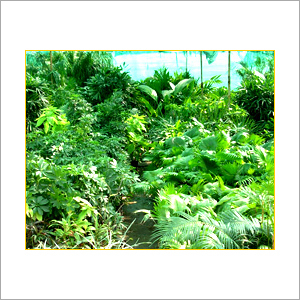 Spring Garden Cleaning