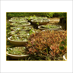 Setting Up Tree-House