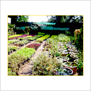 Garden Cleaning