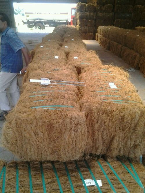 Coir Fiber Blocks