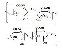 Xanthan Gum