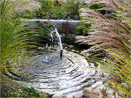 Custom Pond Liner