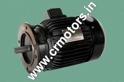 Industrial Induction Motor