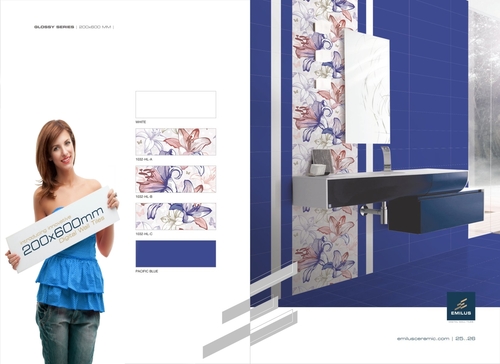 60x20 Ceramic Wall Tiles