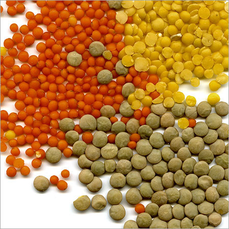 Lentils